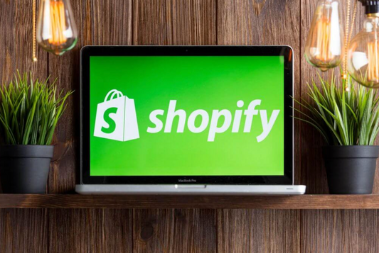 Fully automated dropshipping shopify store-25 Products